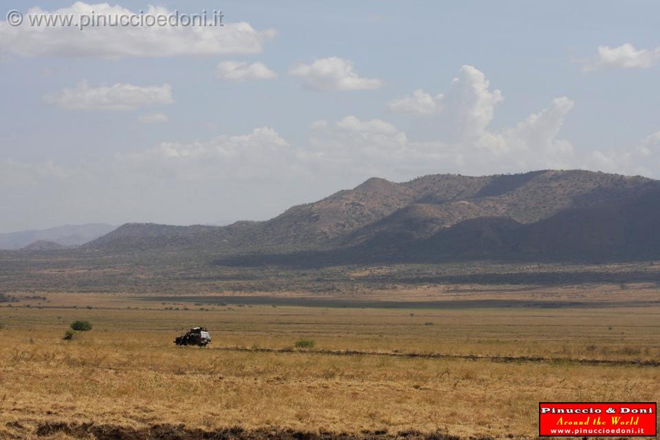 Ethiopia - Netch Sar Park - 86 - Nechisar.jpg